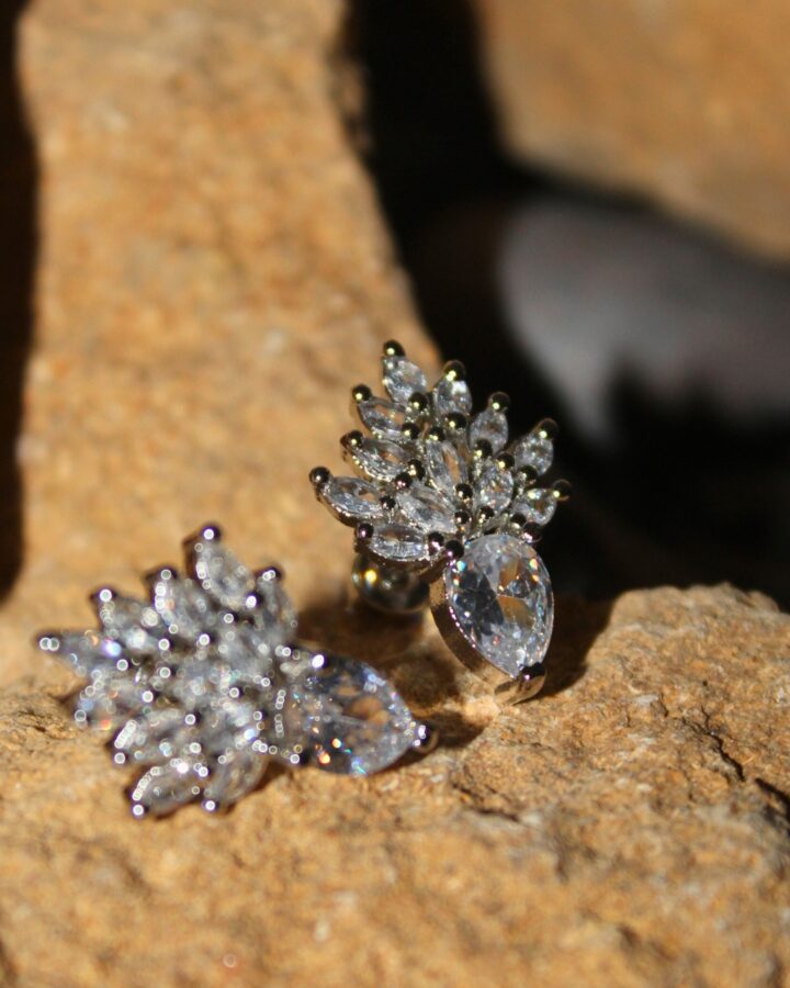 Crystal Bloom Studs - Silver