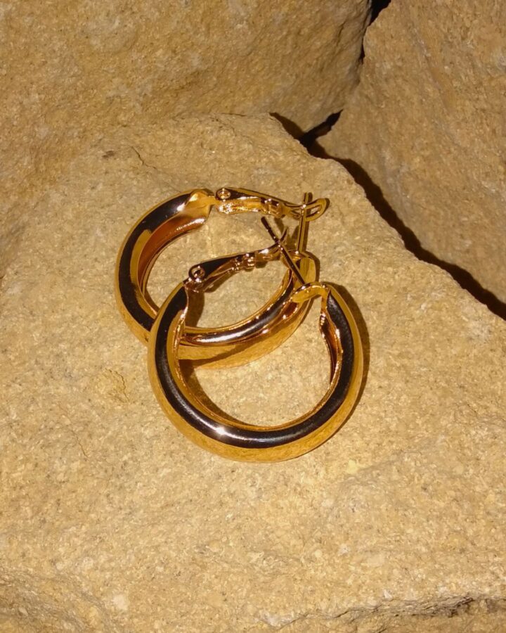 Bold Loop Earrings