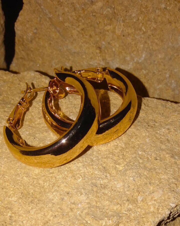 Bold Loop Earrings