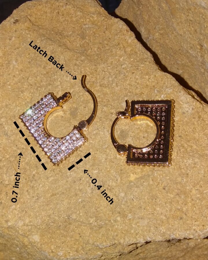 Queen’s Vault Hoop Earrings - Image 3
